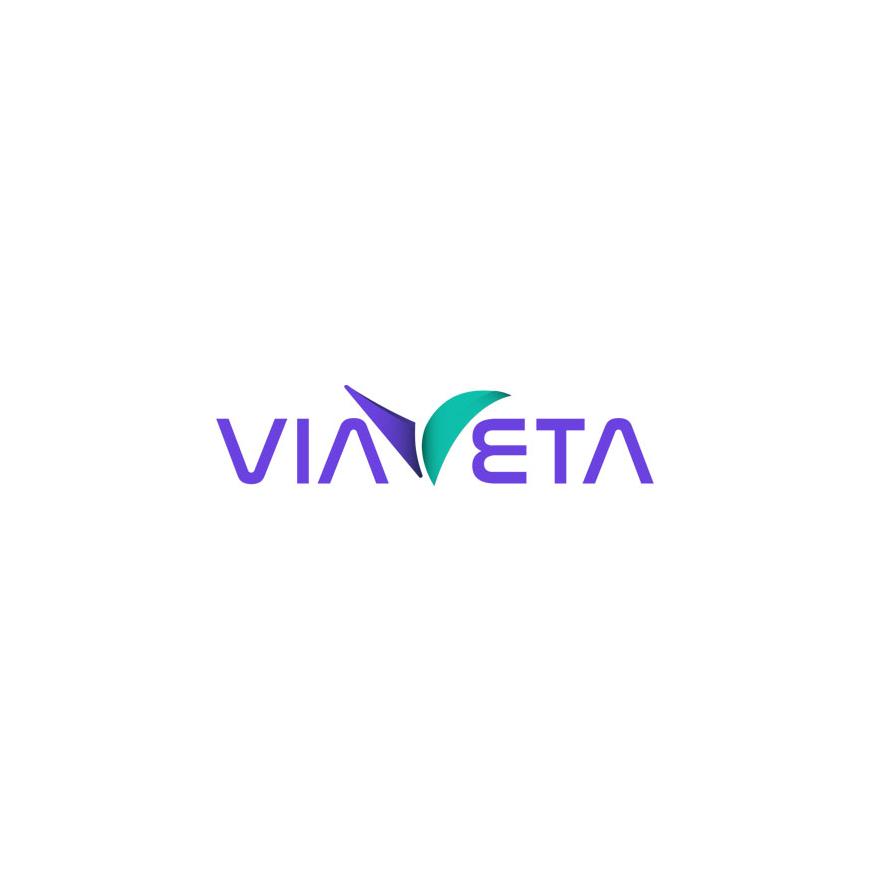 Vlerat etike dhe parimet e punës në ViaVeta